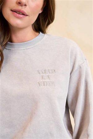 Sweater Brinley grijze sweater ronde hals Lofty Manner